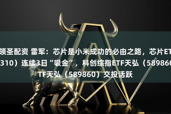 领圣配资 雷军：芯片是小米成功的必由之路，芯片ETF天弘（159310）连续3日“吸金”，科创综指ETF天弘（589860）交投活跃